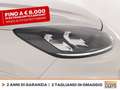 Ford Kuga 2.5 phev st-line x 2wd 225cv cvt Bianco - thumbnail 15