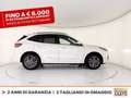 Ford Kuga 2.5 phev st-line x 2wd 225cv cvt Bianco - thumbnail 6