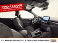 Ford Kuga 2.5 phev st-line x 2wd 225cv cvt Bianco - thumbnail 7