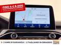 Ford Kuga 2.5 phev st-line x 2wd 225cv cvt Bianco - thumbnail 25