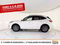 Ford Kuga 2.5 phev st-line x 2wd 225cv cvt Bianco - thumbnail 4