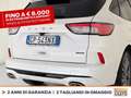 Ford Kuga 2.5 phev st-line x 2wd 225cv cvt Bianco - thumbnail 19