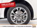 Ford Kuga 2.5 phev st-line x 2wd 225cv cvt Bianco - thumbnail 16