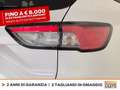Ford Kuga 2.5 phev st-line x 2wd 225cv cvt Bianco - thumbnail 18