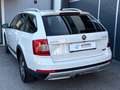 Skoda Octavia Scout 4x4 *ACC*AHK*LED*NAVI*ALCANTARA*ZAHNRIEMEN ERNEUERT* Weiß - thumbnail 37