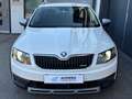Skoda Octavia Scout 4x4 *ACC*AHK*LED*NAVI*ALCANTARA*ZAHNRIEMEN ERNEUERT* Weiß - thumbnail 4