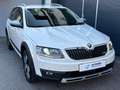 Skoda Octavia Scout 4x4 *ACC*AHK*LED*NAVI*ALCANTARA*ZAHNRIEMEN ERNEUERT* Weiß - thumbnail 2