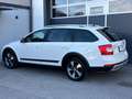 Skoda Octavia Scout 4x4 *ACC*AHK*LED*NAVI*ALCANTARA*ZAHNRIEMEN ERNEUERT* Weiß - thumbnail 35