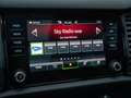 Skoda Kodiaq 1.5 TSI Sportline Business / Adaptief / Memory / C Gris - thumbnail 10