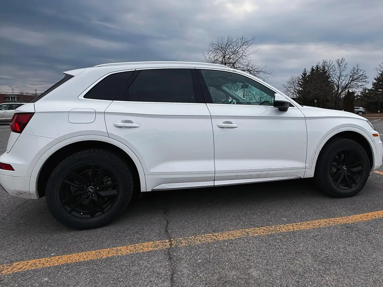 2019 Audi Q5