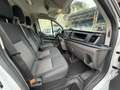 Ford Transit Custom 280 2.0 EcoBlue Hybrid 130 PC  Titan ALL. OFFICINA Bianco - thumbnail 9