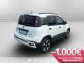 Fiat Panda 1.0 70cv Hybrid Pandina Bianco - thumbnail 5