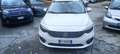 Fiat Tipo Tipo 5 porte II 5p 1.3 mjt Lounge s Blanc - thumbnail 15