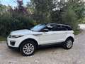Land Rover Range Rover Evoque SE 2,0 TD4 Aut. Weiß - thumbnail 2