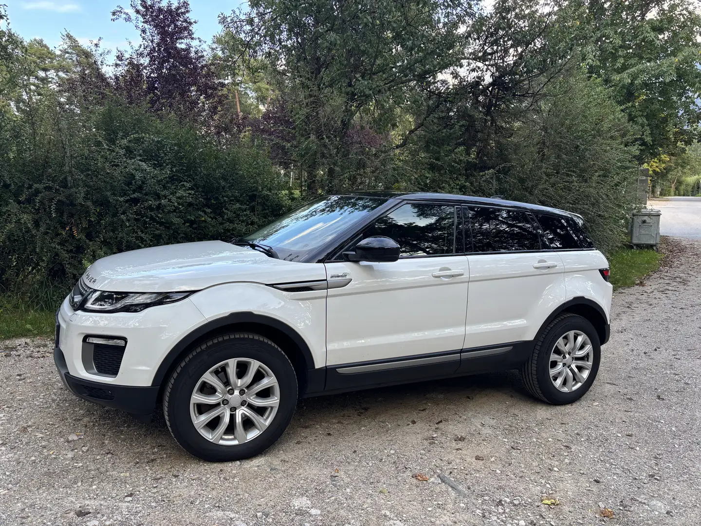 Land Rover Range Rover Evoque SE 2,0 TD4 Aut. Weiß - 2