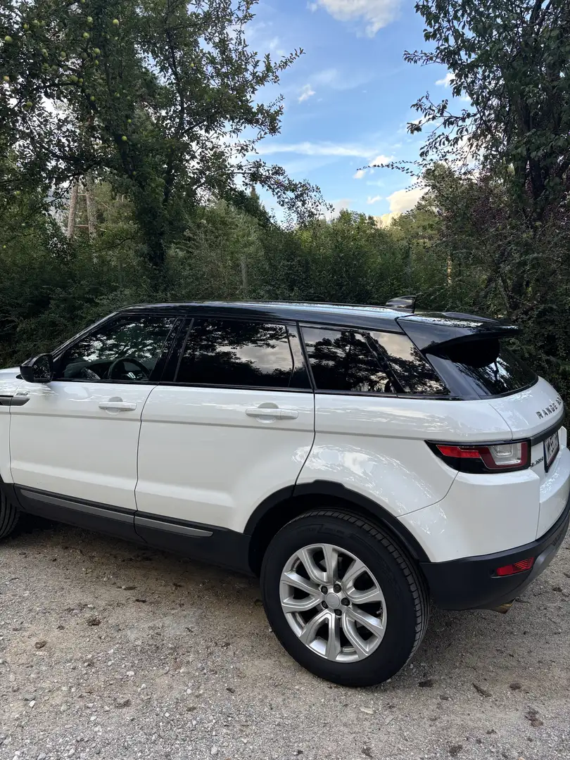 Land Rover Range Rover Evoque SE 2,0 TD4 Aut. Weiß - 1