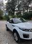 Land Rover Range Rover Evoque SE 2,0 TD4 Aut. Weiß - thumbnail 5