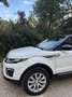 Land Rover Range Rover Evoque SE 2,0 TD4 Aut. Weiß - thumbnail 3