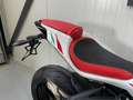 MV Agusta F3 800 RC Reparto Corse - thumbnail 12