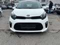 Kia Picanto 1,0 MPI leichter Kleinwagen im Topzustand Weiß - thumbnail 3