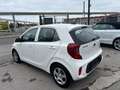 Kia Picanto 1,0 MPI leichter Kleinwagen im Topzustand Weiß - thumbnail 4