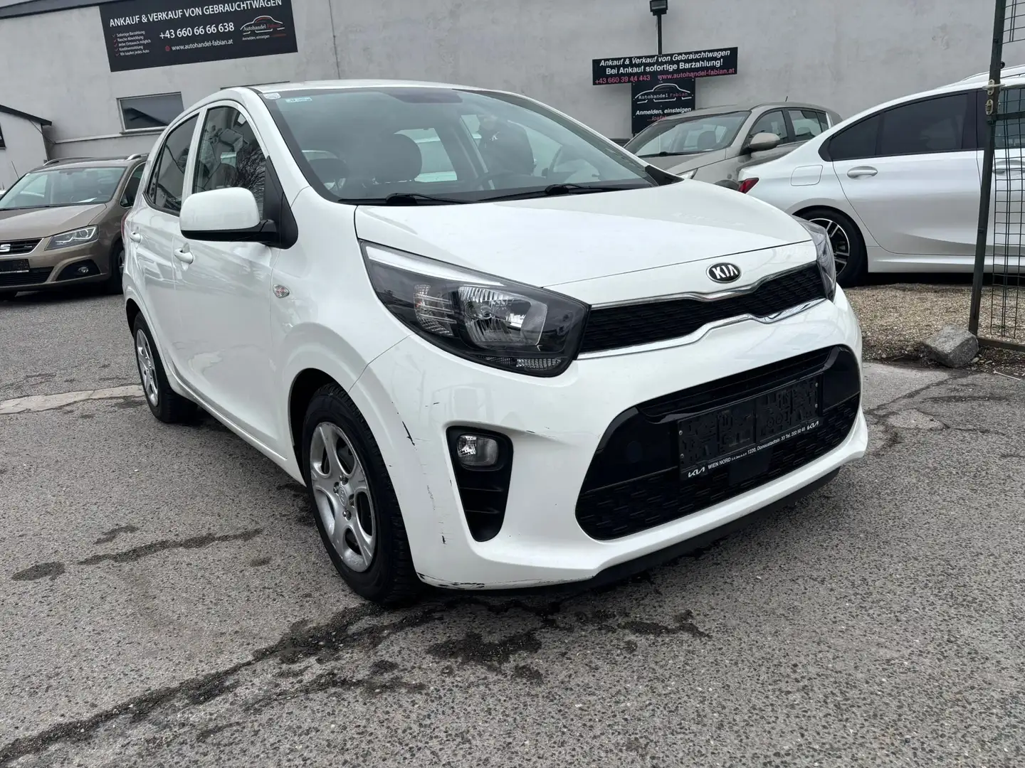 Kia Picanto 1,0 MPI leichter Kleinwagen im Topzustand Weiß - 1