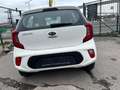 Kia Picanto 1,0 MPI leichter Kleinwagen im Topzustand Weiß - thumbnail 5