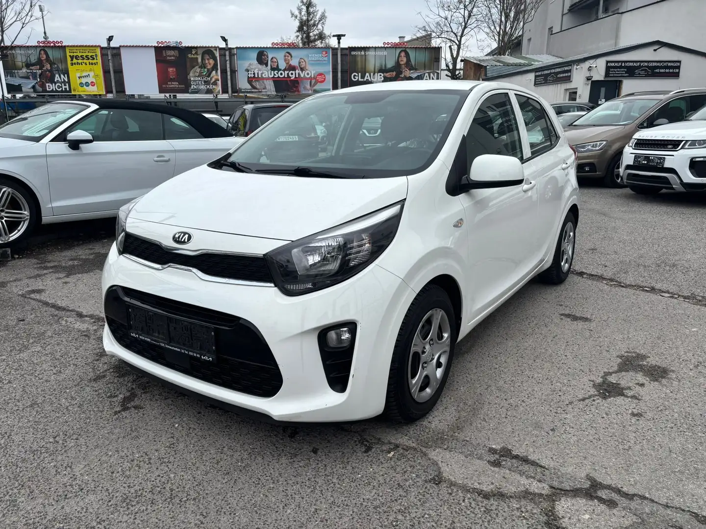 Kia Picanto 1,0 MPI leichter Kleinwagen im Topzustand Weiß - 2