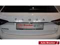 Skoda Superb Co.L&K 2.0 TDI+Allrad+DSG+LED+StandHZ+Pano+3-Zonen Wit - thumbnail 5