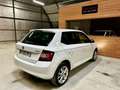 Skoda Fabia 1.0 MPI 60 ch Greentec Série Spéciale Edition - thumbnail 12