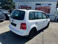 Volkswagen Touran Touran Conceptline 1,9 TDI *Klima* Weiß - thumbnail 4