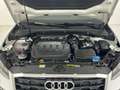 Audi Q2 30 TDI Adrenalin S tronic 85kW Blanco - thumbnail 11