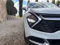 Kia Sportage 1.6 CRDi MHEV Business 4x4 136 Blanco - thumbnail 16