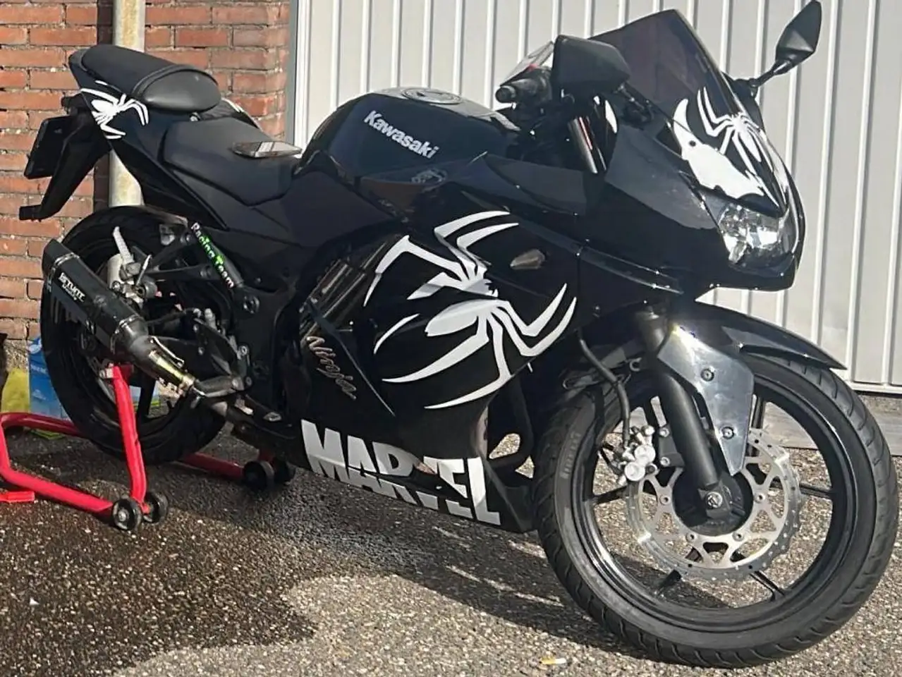 Kawasaki Ninja 250 R