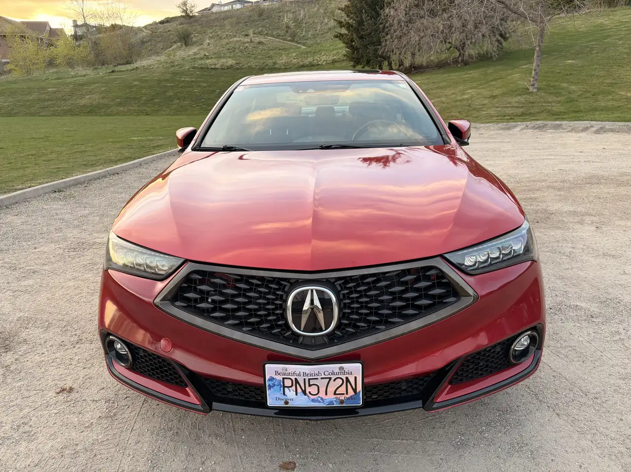 TLX снимка TLX