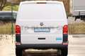 Volkswagen T6 Transporter T6.1 TDI-SCR Mixto L1 AHK 2,5T PDC 6-Sitze Klima Weiß - thumbnail 6
