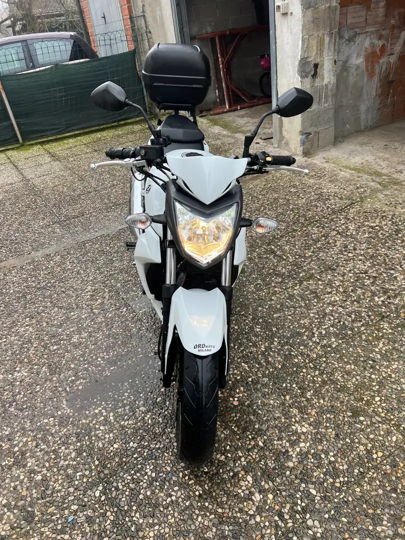 SYM Wolf SB 250 Ni 2012 Alb - 1