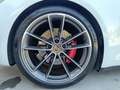 Porsche 911 911 Coupe 3.0 Carrera 4S auto iva esposta Bianco - thumbnail 15