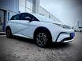 BYD Dolphin Comfort 204PS Aut. LAGER AKTION Bianco - thumbnail 6