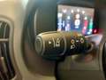 Fiat Panda Pandina 1.0 firefly hybrid *PREZZO PROMO* Blau - thumbnail 14