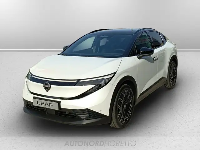 Nissan Leaf 75kwh evolve