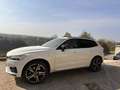 Volvo XC60 XC60 II 2018 2.0 t8 - 303cv Bianco - thumbnail 6