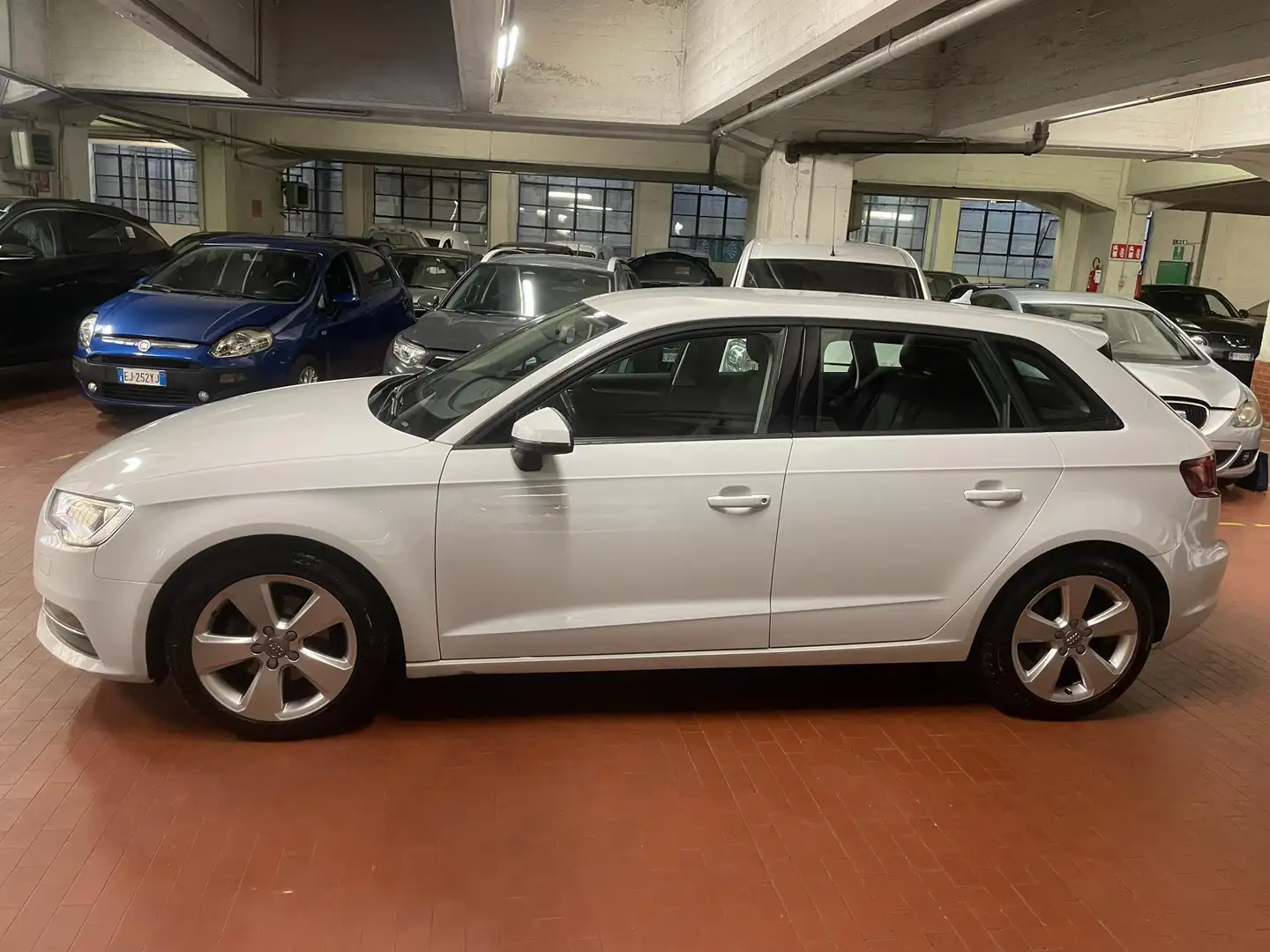 Audi A3 1.6 tdi Business 110cv E6 Blanc - 2