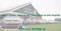 Suzuki Swift 1.2 Select Smart Hybrid Safety Pack led|acc|cam|da Bleu - thumbnail 24