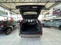 Toyota RAV 4 Dynamic Plus Grau - thumbnail 12