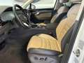 Volkswagen Touareg 3.0 V6 TDI SCR Elegance Blanc - thumbnail 10