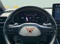 CUPRA 1.5 eTSI 110kW (150CV) DSG Gris - thumbnail 11
