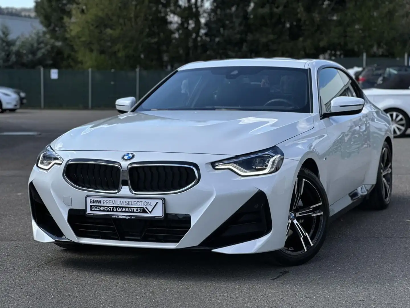 BMW 220 i M Sport HUD ACC Kamera GlasD.LiveProf.18" LED Weiß - 2