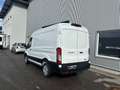 Ford Transit Transit Kasten 2,0 EcoBlue L2H2 350 Trend Weiß - thumbnail 3