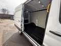 Ford Transit Transit Kasten 2,0 EcoBlue L2H2 350 Trend Weiß - thumbnail 7